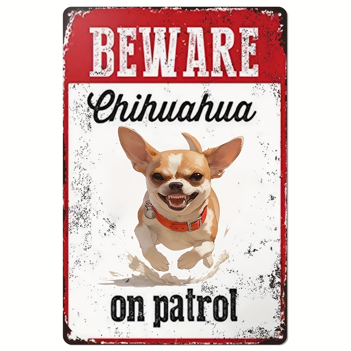 Home Security Outdoor - Hati-hati dengan Chihuahua Saat Berpatroli -