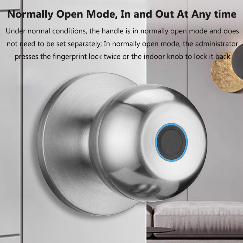 Kunci Pintu Tuya Kunci Sidik J - Door Lock Smart Keypad ulasan dan harga