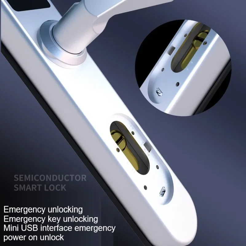 TTLock/Tuya kunci pintu cerdas - Door Lock Smart Keypad ulasan dan harga