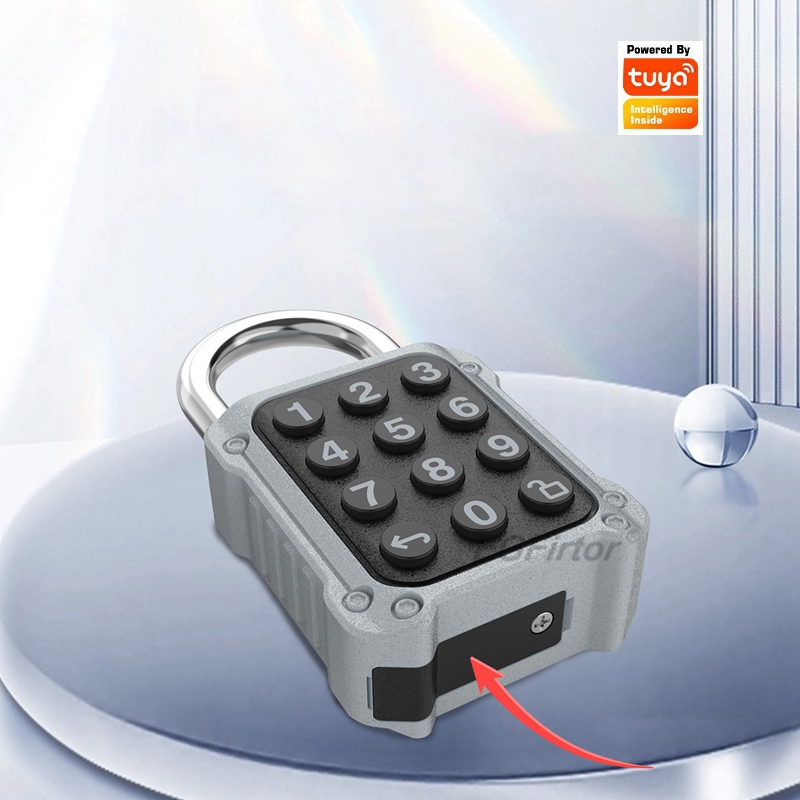 EGFirtor Tuya APP Kunci Pintu  - Home Security Keypad ulasan dan harga