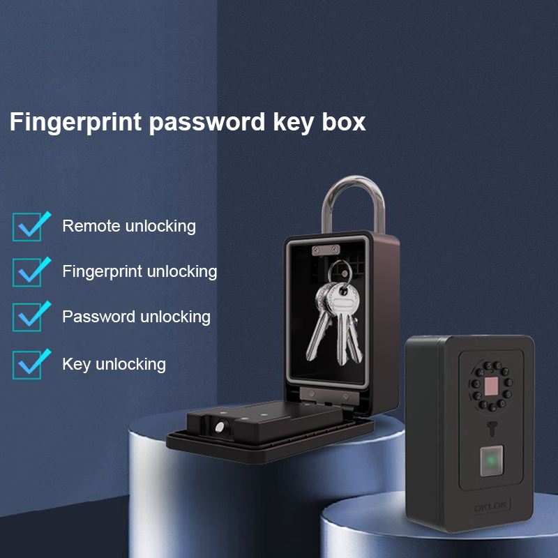 Kotak Penyimpanan Kata Sandi D - Home Security Safe ulasan dan harga